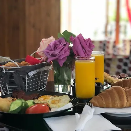 Ambasador Garden Hotel