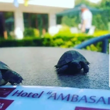 Ambasador Garden Lezhe